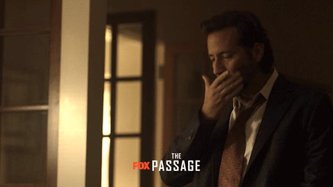the passage fox GIF