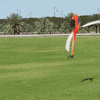 helicopter is it working GIF