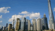 shang hai GIF