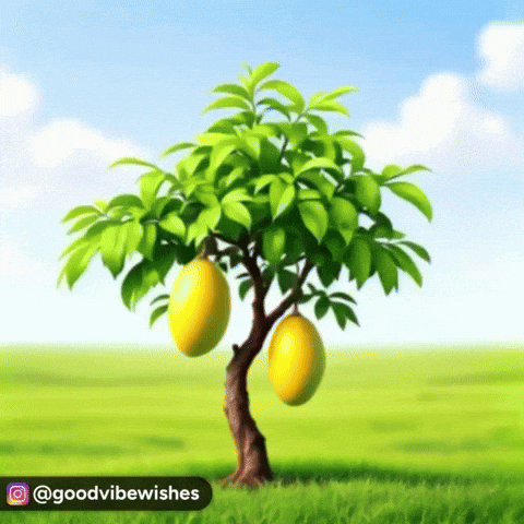 Shaking Summer Fruit GIF