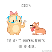 dog puppy GIF by SLOTHILDA