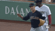 major league baseball sport GIF by MLB