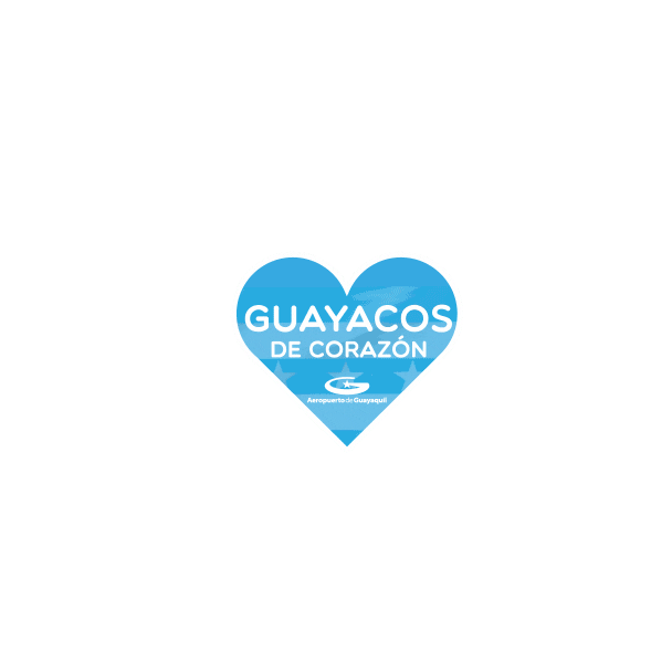 TAGSA giphyupload vacaciones viajar avion Sticker