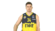 Ewe Baskets Basketball Sticker by EWE Baskets Oldenburg