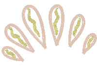 Shine Bang Sticker