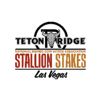 NRCHA cowboy nrcha cow horse reined cow horse Sticker