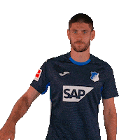 Andrej Kramaric Sport Sticker by TSG Hoffenheim