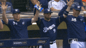 major league baseball sport GIF by MLB