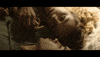 universalafrica love happy look couple GIF