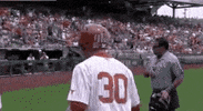 Baseball College GIF by NCAA Championships