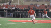 houston cougars GIF by Coogfans