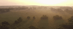 alabama GIF