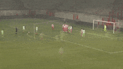 wolves william GIF by VfL Wolfsburg