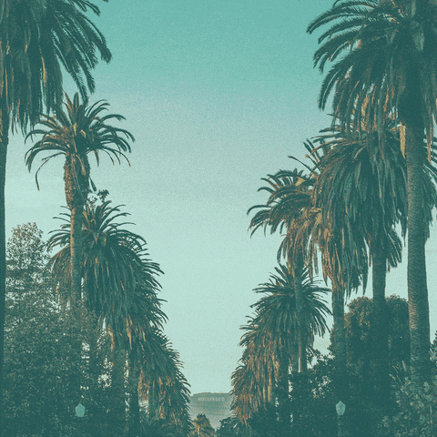 LAvsHate california la los angeles hate GIF