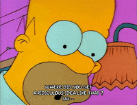 Season 1 GIF by The Simpsons