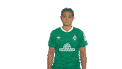 Sticker Emotionen Sticker by SV Werder Bremen