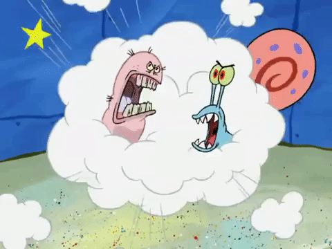 season 6 pet or pets GIF by SpongeBob SquarePants