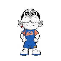 Happy New York Mets Sticker by Zhot
