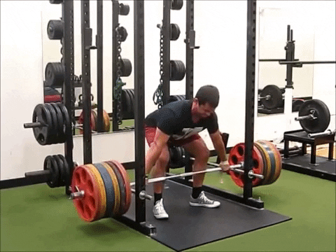 winestain giphygifmaker GIF