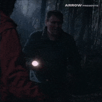 Film Horror GIF by Arrow Video