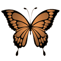 Fashion Butterfly Sticker by Bershka