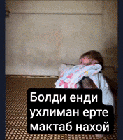 Maymun GIF