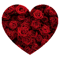 OnlyRoses love romance flowers valentines day Sticker