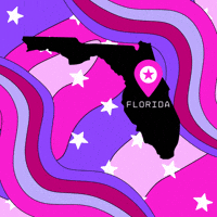 Florida Fl GIF