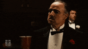 BNNVARA yes ja npo bnnvara GIF