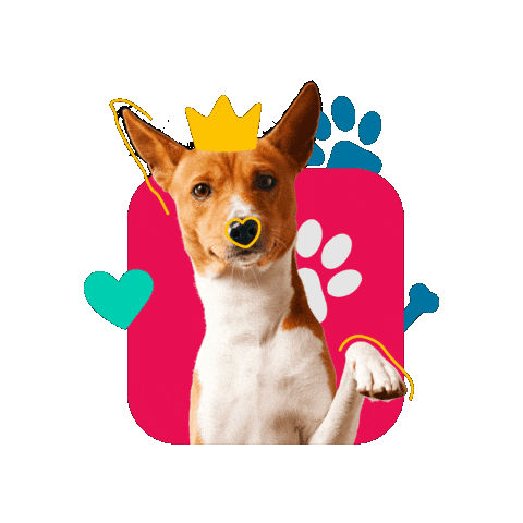 Pet Month Sticker by Cronos Logistics