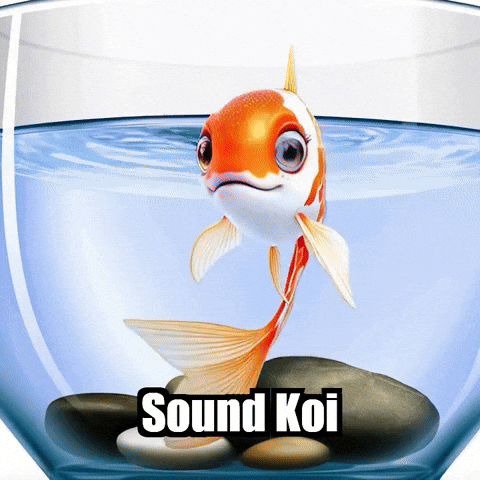 Koi Fish Sound GIF by TheConfishius