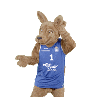 social-media-easycredit basketball ohr easycredit ellihoop Sticker