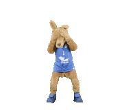 social-media-easycredit basketball jubel easycredit easycredit-bbl Sticker