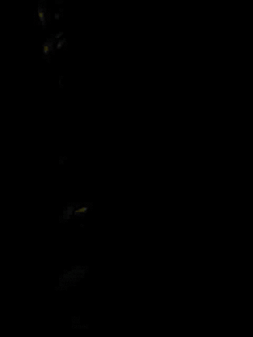 outriangle GIF