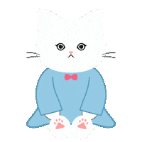 Cat Wink Sticker