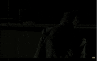 the walking dead GIF by Vulture.com