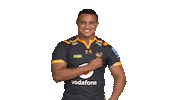 Rugby Sticker by Wasps