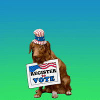 Video gif. Panting Golden Retriever wearing an American flag top hat against a blue and green background, wears a sign around its neck that reads, “Register to vote.” Text emerges about its head, “Don’t Fur-get.”