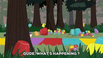stan marsh forest GIF by South Park 