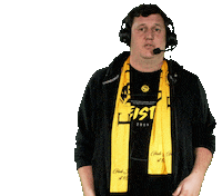 Bsc Young Boys Football Sticker by Radio Gelb-Schwarz