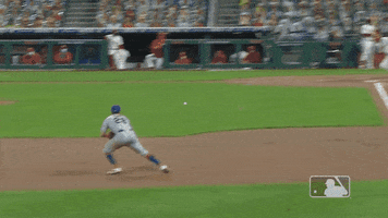 Ny Mets Mlb GIF by New York Mets