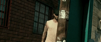 maroon5 animals maroon 5 GIF