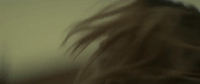 maroon5 animals maroon 5 GIF