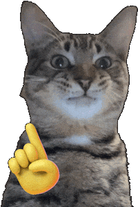 picklesthegatito cat no pickles picklesthegatito Sticker