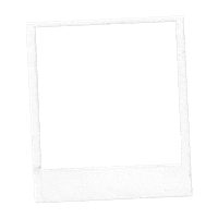 CactusCityUK gir women in music womeninmusic cactus city Sticker