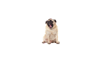 Dogs Love Sticker by Grub Club