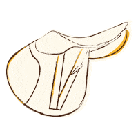 Horse Saddle Sticker by BUTET