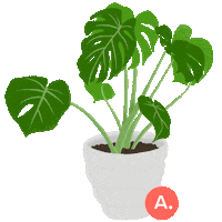 Plant Sticker by Article