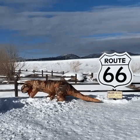 'T-Rex' Plays in Snow Near Iconic Route 66 Sign in Arizona
