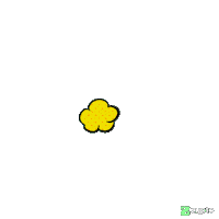 Happy Birthday Fun Sticker by Zypto